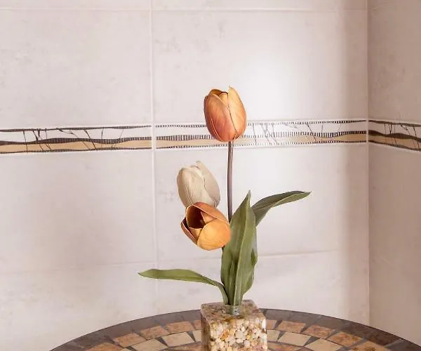 Skyline View Appartamento *