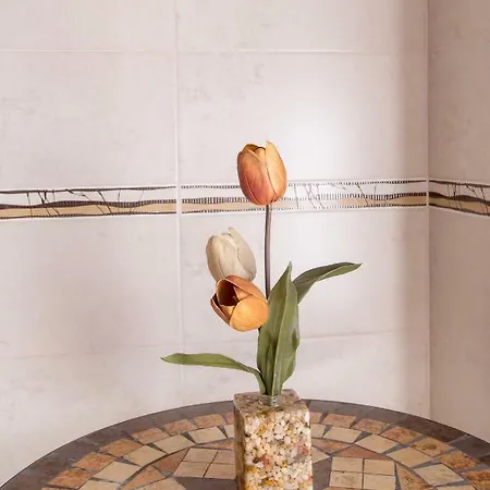 Skyline View Appartamento *